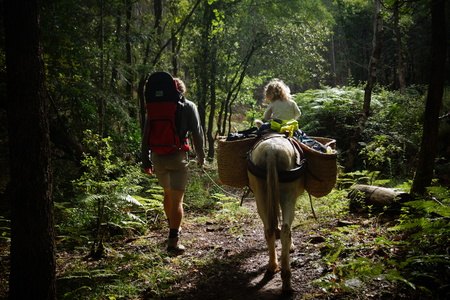 marcher avec un ane - randonnée avec un âne dans les Pyrénées